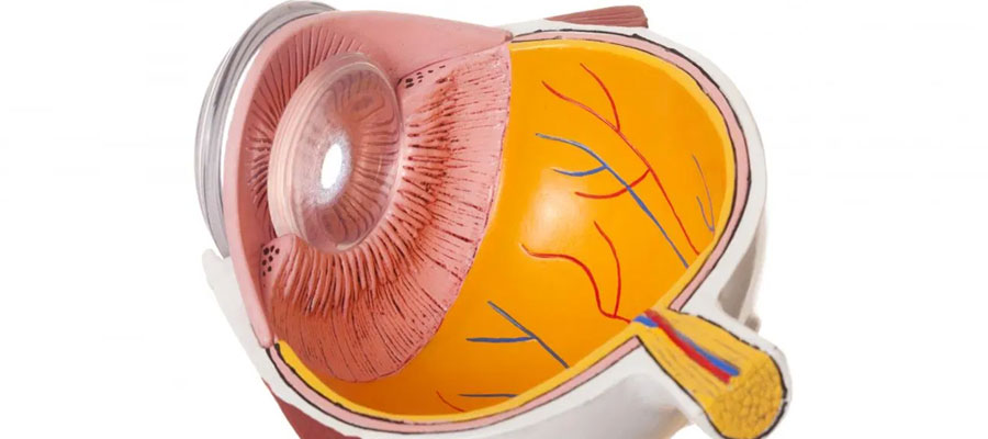 yüksek tansiyonda retinopati tedavisi)